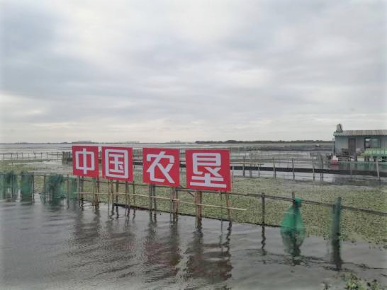 微信图片_20221206140636.png